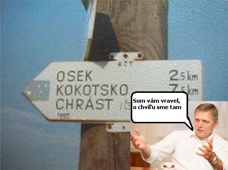 Príspevok 32199